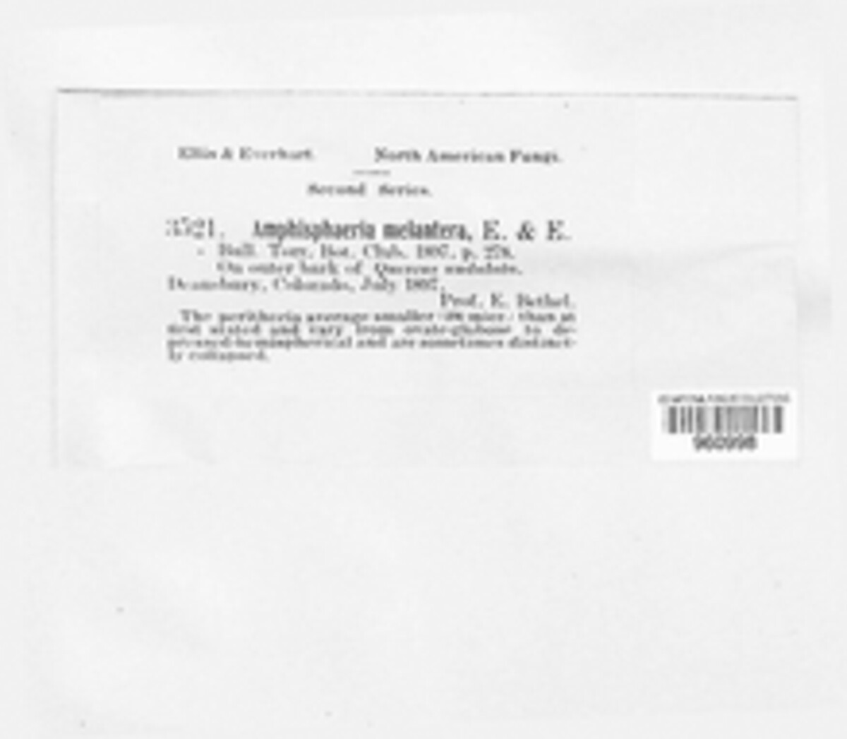 Splanchnonema melanterum image